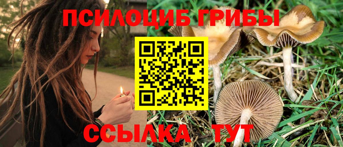 Белебей  Галлюциногенные грибы MAGIC MUSHROOMS  Вход с VPN 